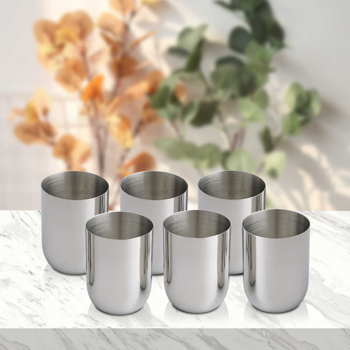 Stainless Steel 6 PCS Glass Majestic