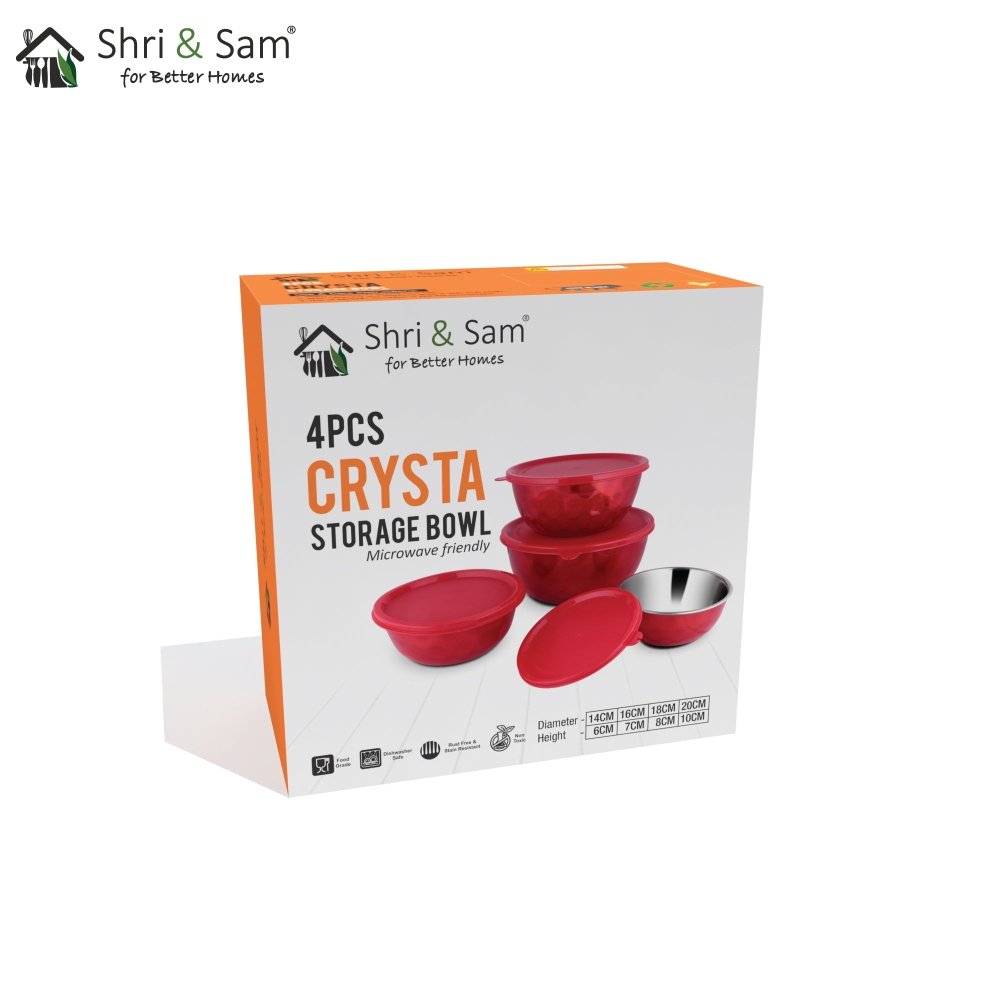 Stainless Steel 4 PCS Storage Bowl with Solid Lid Euro