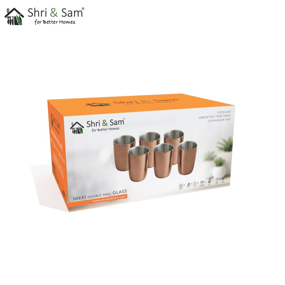 Stainless Steel 6 PCS Double Wall Glass with Rose Gold PVD Coating Nikki