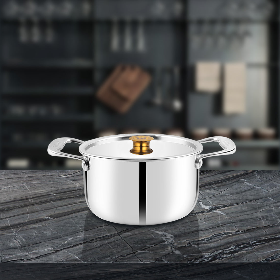 Stainless Steel Triply Casserole with SS Lid Triplica