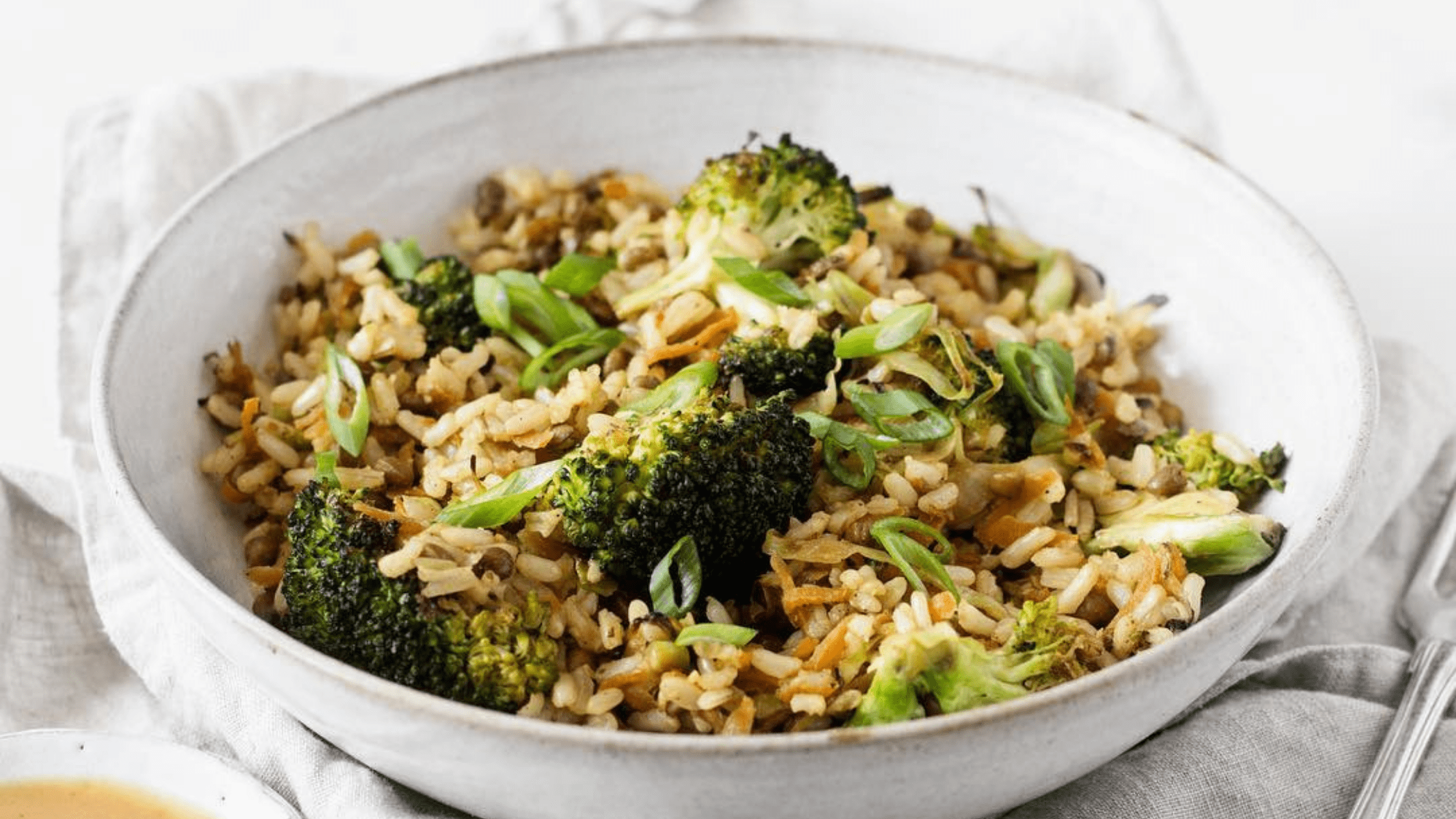 Try these easy meal recipes for busy days - ShriandSam