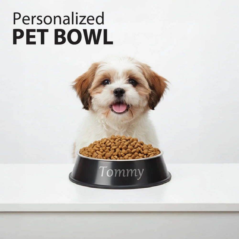 Stainless Steel Anti - Skid Dog Feeding Bowl