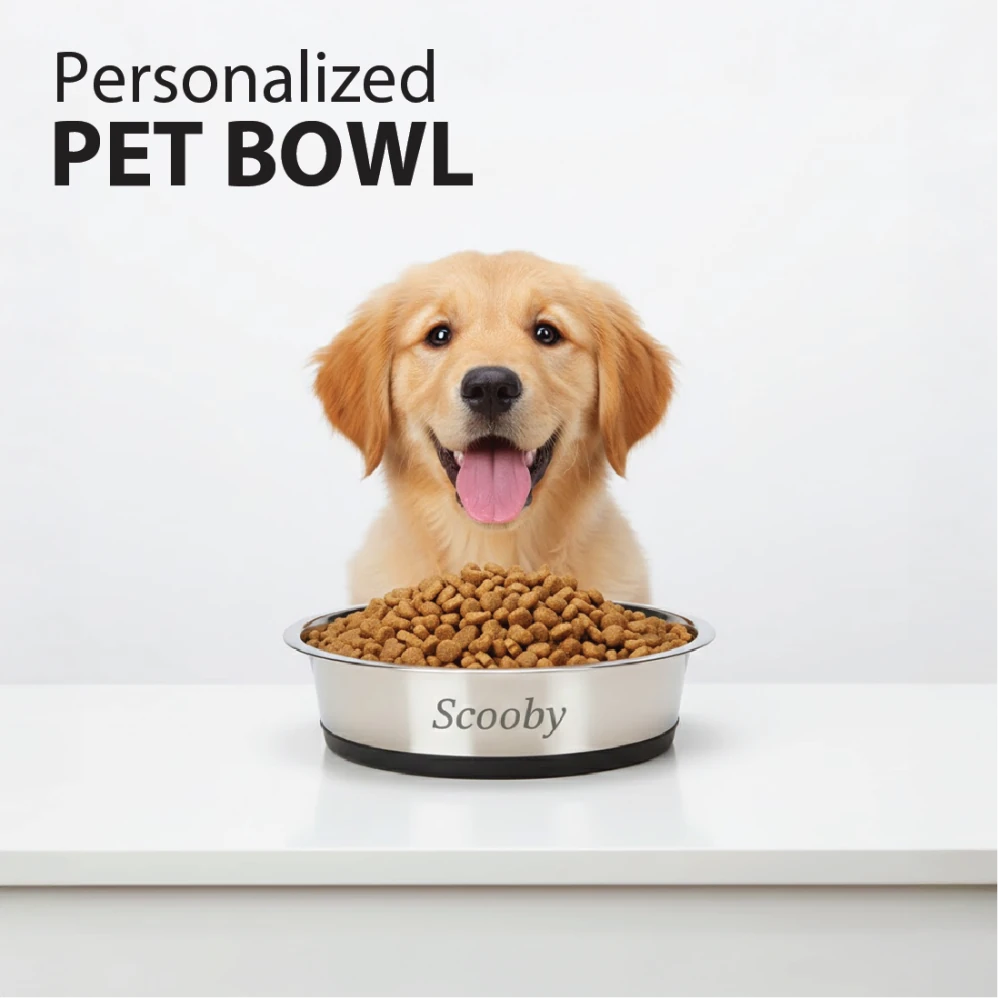 Stainless Steel Pet Bowl with Anti - Skid Base