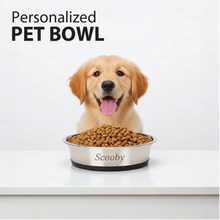 Stainless Steel Pet Bowl with Anti - Skid Base