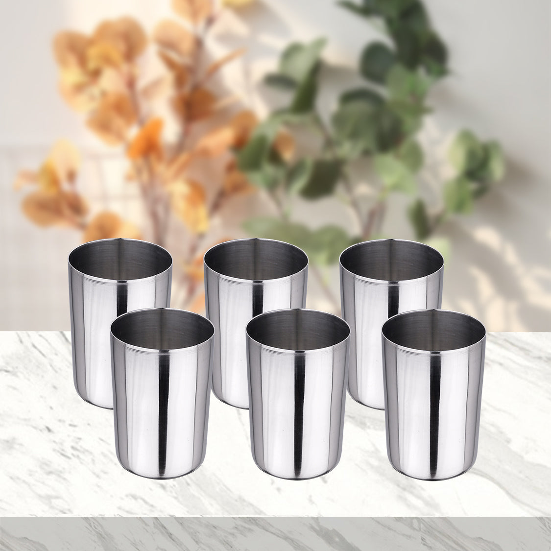 Stainless Steel 6 PCS Glass Shagun