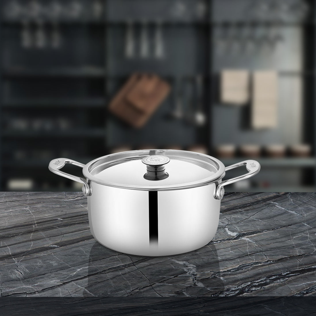Stainless Steel Heavy Weight Casserole with SS Lid Platinum