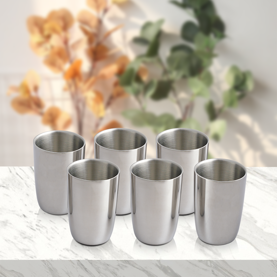 Stainless Steel 6 PCS Double Wall Glass Nikki