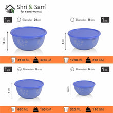 Stainless Steel 4 PCS Microwave Friendly Blue Storage Bowl Europa