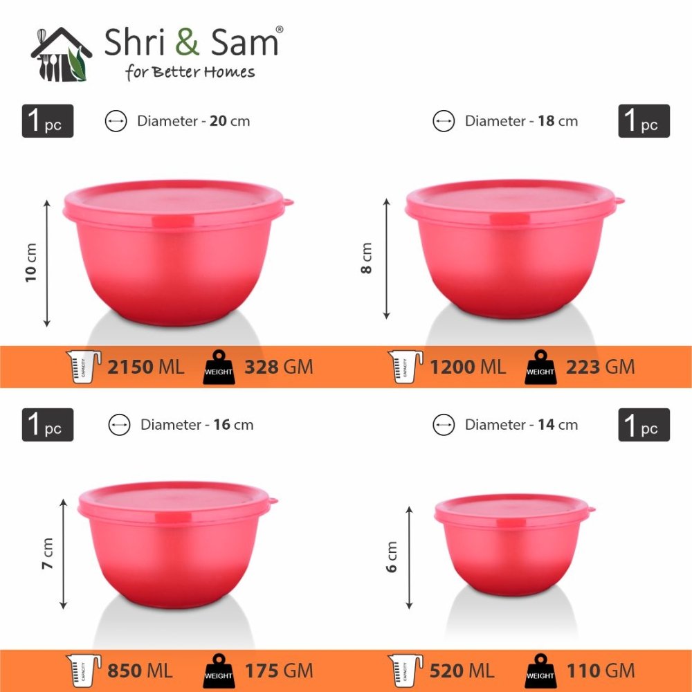 Stainless Steel 4 PCS Storage Bowl with Solid Lid Euro