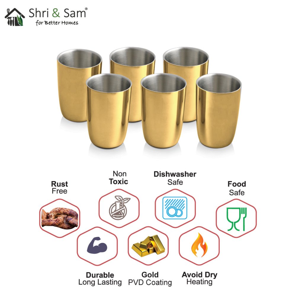 Stainless Steel 6 PCS Double Wall Glass with Gold PVD Coating Nikki